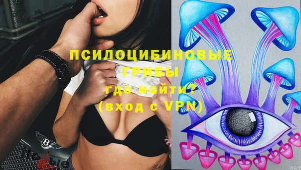 дурь Верхний Тагил