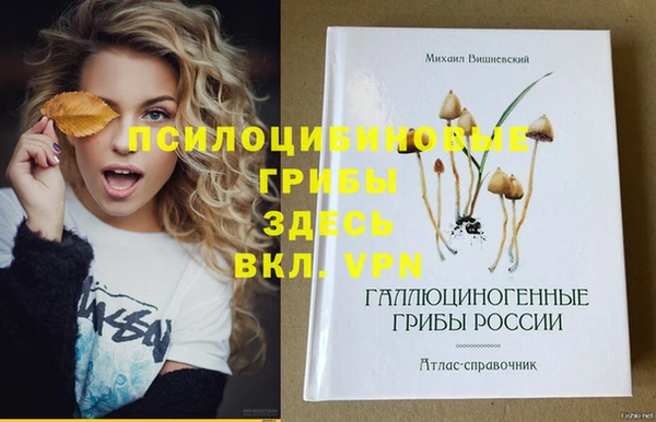 ECSTASY Верея