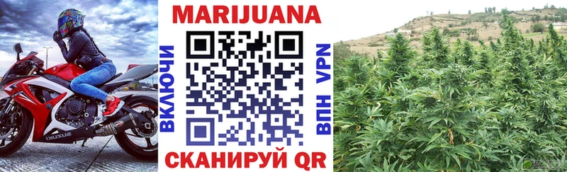 Конопля SATIVA & INDICA  магазин  наркотиков  Курган 